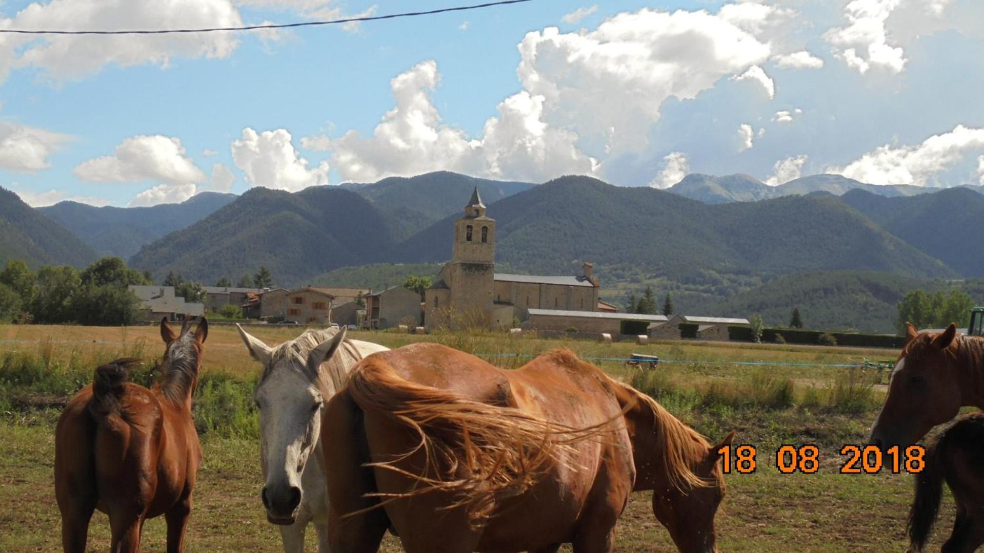 Can Vall Bellver Bellver De Cerdanya Eksteriør billede